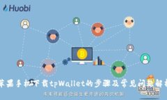 苹果手机下载tpWallet的步骤及常见问题