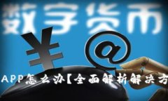 tpWallet没有APP怎么办？全面解析解决方