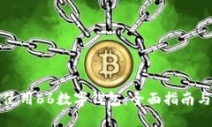 如何高效使用66数字钱包：全面指南与实用技巧