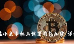如何在小米手机上设置钱包加密：详细指南