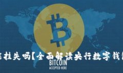 央行数字钱包能挂失吗？全面解读央行数字钱包