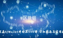 如何在tpWallet中购买BNB币：详细指南与实用技巧