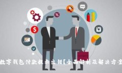 数字钱包付款提示出错？全面解析及解