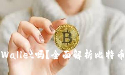 中本聪可以绑定tpWallet吗?全面解析比特币的未来与钱包选择