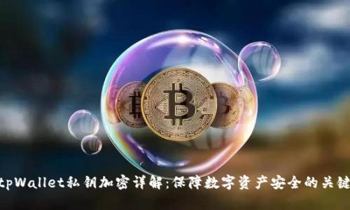tpWallet私钥加密详解:保障数字资产安全的关键