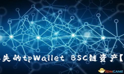 如何找回丢失的tpWallet BSC链资产?全方位解析
