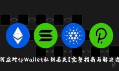 如何应对tpWallet私钥丢失？完整指南与