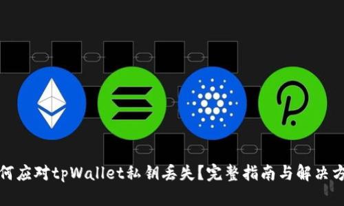 如何应对tpWallet私钥丢失?完整指南与解决方案