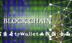 如何查看tpWallet曲线图：全面指南