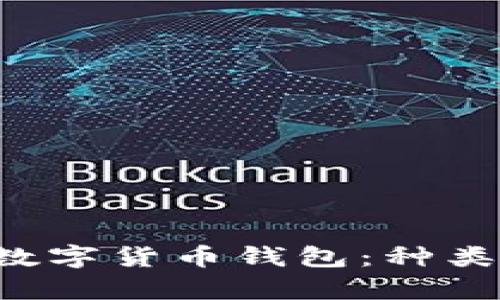 全面解析加密数字货币钱包:种类、使用及安全性