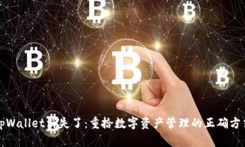 tpWallet消失了:重拾数字资产管理的正确方式