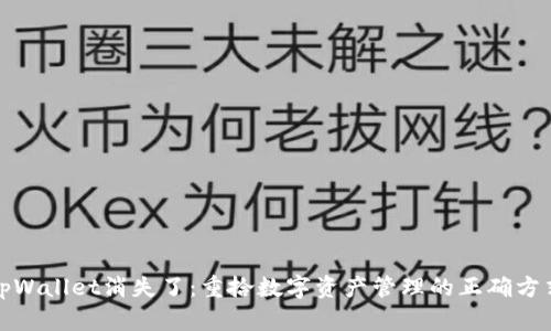 tpWallet消失了:重拾数字资产管理的正确方式
