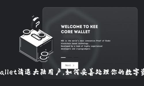 tpWallet清退大陆用户,如何妥善处理你的数字资产?