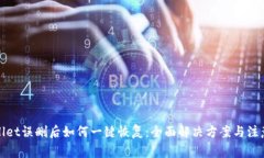tpWallet误删后如何一键恢复：全面解决