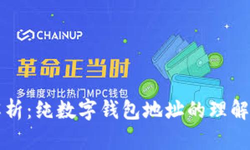 全面解析:纯数字钱包地址的理解与应用