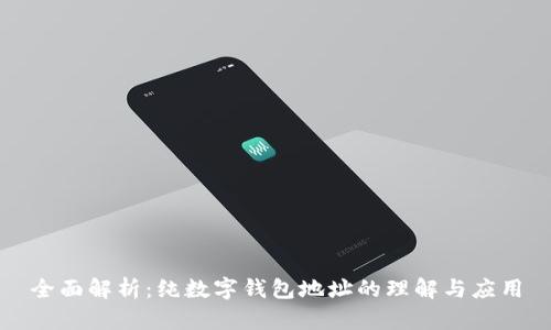 全面解析:纯数字钱包地址的理解与应用