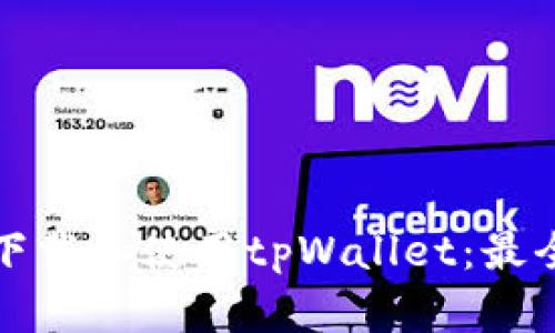 如何安全下载和使用tpWallet:最全面的指南