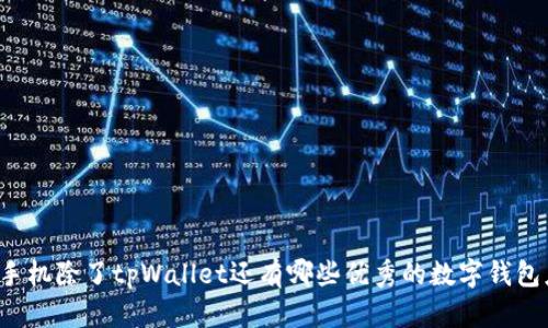 苹果手机除了tpWallet还有哪些优秀的数字钱包应用?