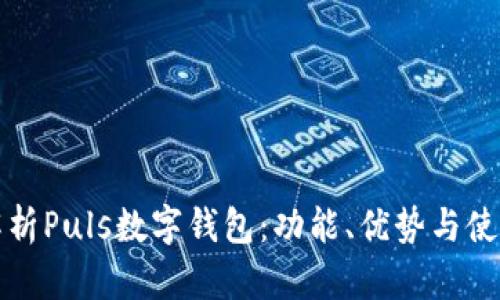 全面解析Puls数字钱包:功能、优势与使用指南