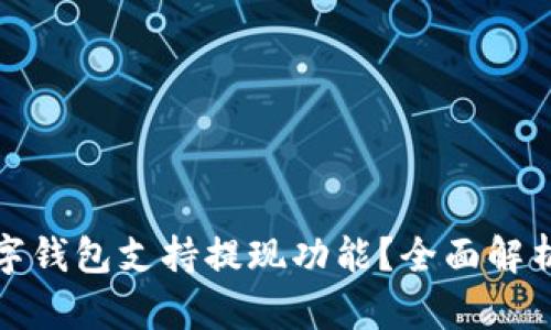 哪些数字钱包支持提现功能?全面解析与推荐