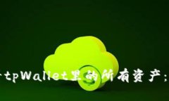 如何查看tpWallet里的所有资产：详细指