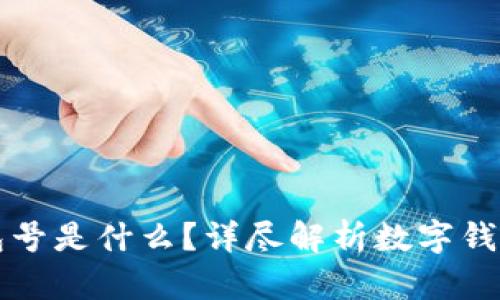 数字钱包的钱包号是什么?详尽解析数字钱包的功能与使用