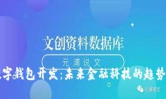 北京数字钱包开发：未来金融科技的趋