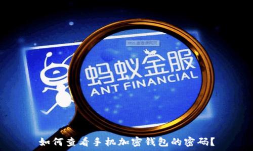 如何查看手机加密钱包的密码?