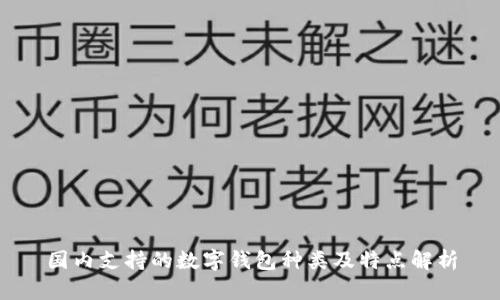 国内支持的数字钱包种类及特点解析