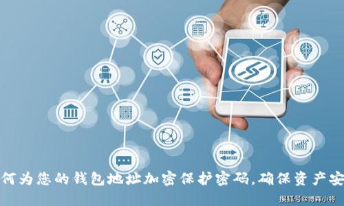 如何为您的钱包地址加密保护密码,确保资产安全