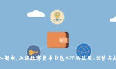 深入解析：上海数字货币钱包APP的使用