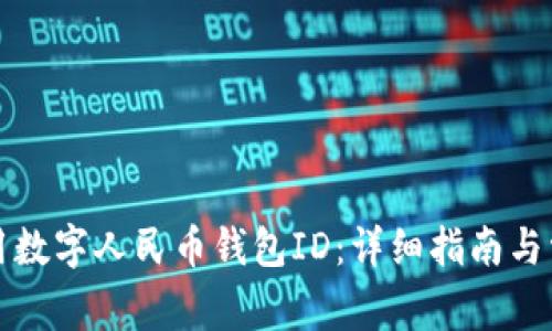 如何安全使用数字人民币钱包ID:详细指南与常见问题解析
