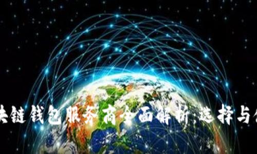 国内区块链钱包服务商全面解析:选择与使用指南