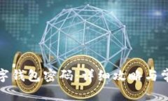 如何找回数字钱包密码：详细攻略与常