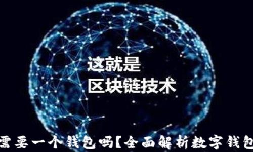 玩区块链的人都需要一个钱包吗?全面解析数字钱包的必要性与选择