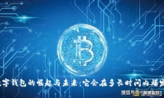 数字钱包的崛起与未来：它会在多长时
