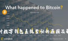 深入探讨数字钱包系统繁忙的原因及解