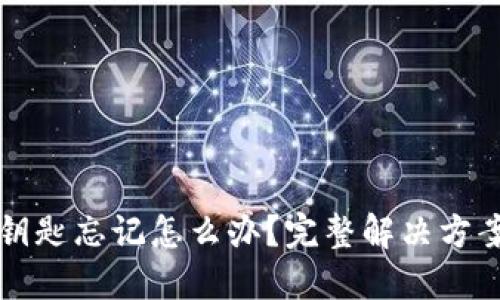 区块链钱包钥匙忘记怎么办?完整解决方案与实用建议