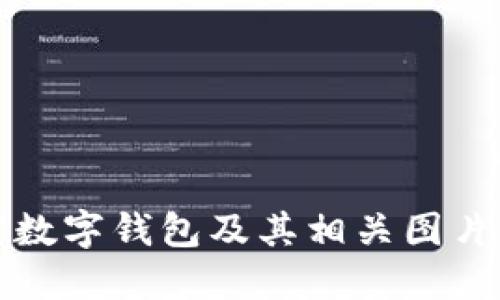 如何设置数字钱包及其相关图片使用指南