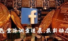 南安数字钱包案件调查进展：最新动态