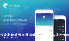 如何获取数字峰会精彩瞬间：高清钱包