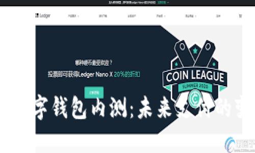 探索DCEP数字钱包内测:未来支付的变革与挑战