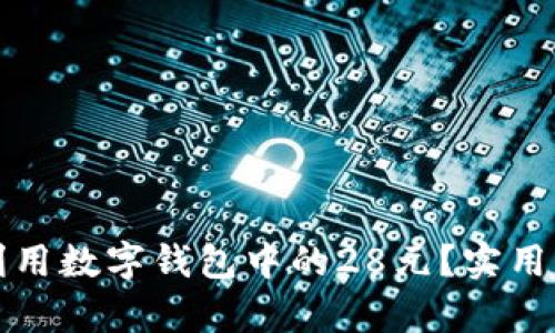 如何有效利用数字钱包中的28元?实用指南与技巧