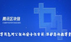 数字钱包对公链的安全性分析：保护您