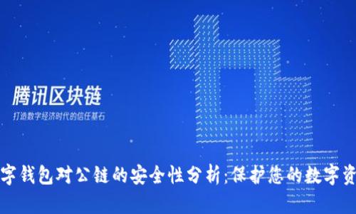数字钱包对公链的安全性分析:保护您的数字资产