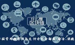 2023年中国常用数字钱包支付方式全解