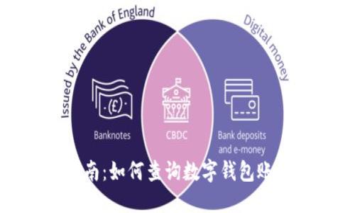 全面指南:如何查询数字钱包账户信息