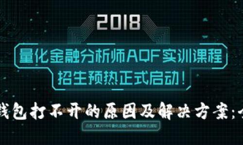 区块链钱包打不开的原因及解决方案:全面指南