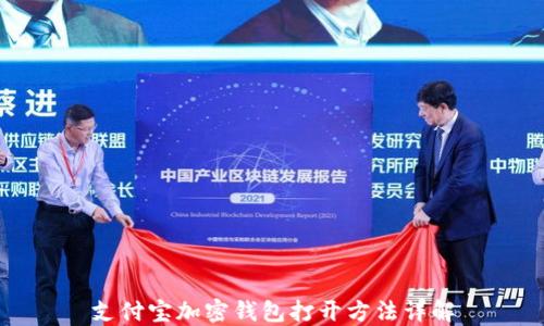 支付宝加密钱包打开方法详解