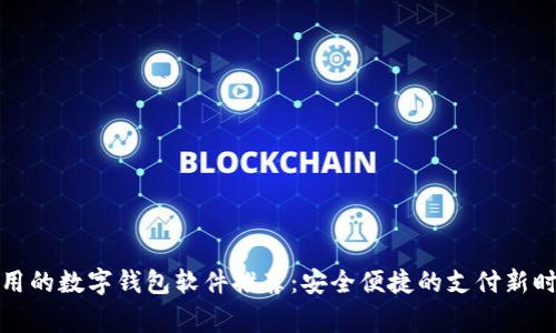 常用的数字钱包软件推荐:安全便捷的支付新时代
